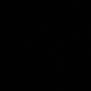 Meet your Posher, Ali